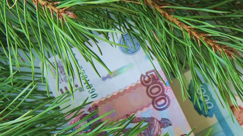 Ямальские семьи с детьми получат «президентскую» выплату к Новому году