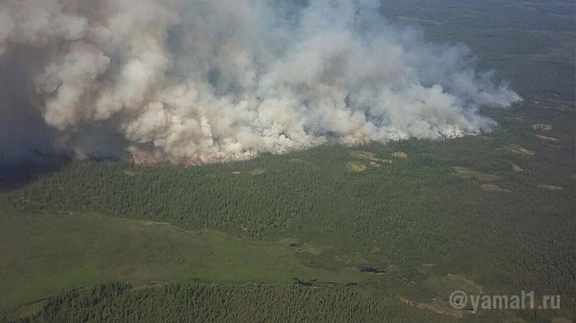 На Ямале число лесных пожаров за сутки выросло в пять раз. ВИДЕО