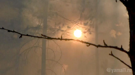 Еще в одном районе ЯНАО объявили режим ЧС из-за лесных пожаров