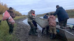 Врачи рассказали о состоянии мужчин, найденных без сознания в охотничьей избушке на Ямале. ФОТО