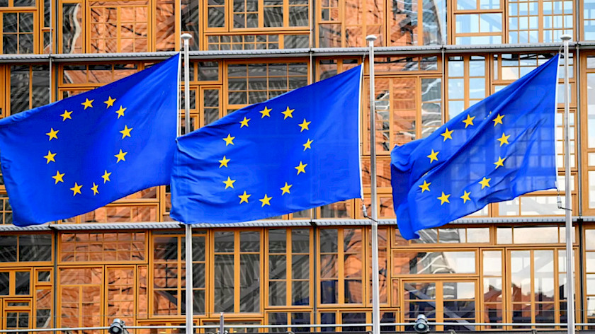 Европарламент оказался недоволен легализацией употребления сверчков