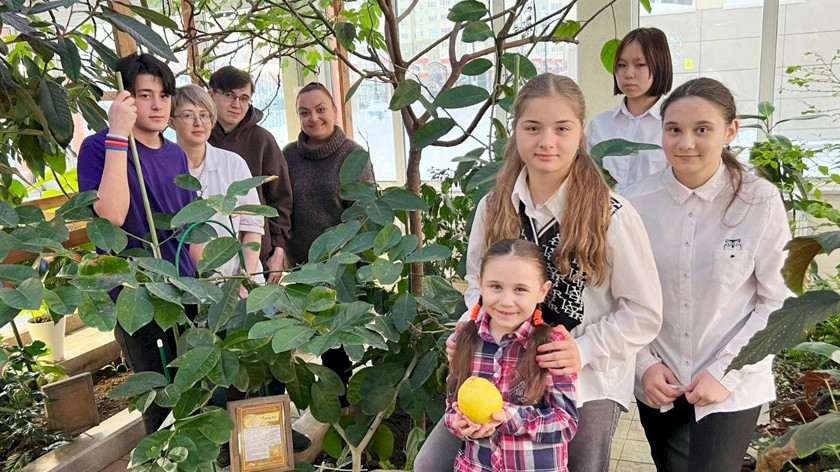 В социальном центре Нового Уренгоя юные подопечные собрали урожай лимонов в феврале. ВИДЕО