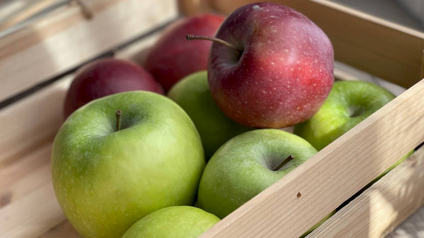В Шурышкарском районе Ямала северяне покупали яблоки по завышенной цене