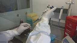 Роспотребнадзор: больницы Ямала готовы к подъему заболеваемости коронавирусом. ВИДЕО