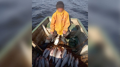 Золотой улов: на Ямале двое браконьеров выловили рыбу на 200 тысяч рублей