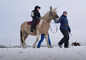 Не просто катание, не обычный контакт: как приобские лошади помогают людям выздоравливать и менять образ жизни. ВИДЕО