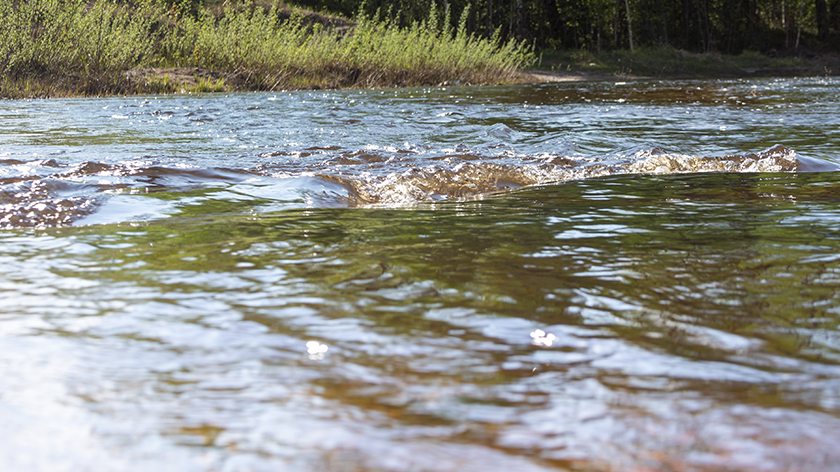 На Ямале спасатели достали из воды тело пропавшего мужчины 