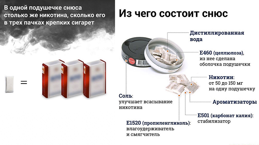 Еще раз о снюсах - Новости - Администрация Железнодорожного района