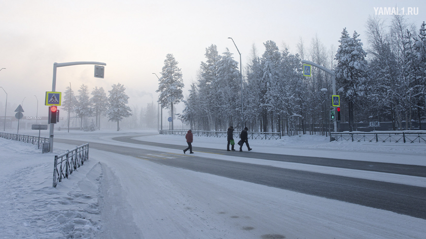 Жителей Ямала предупредили о сильных морозах в ночь на 5 декабря. ВИДЕО
