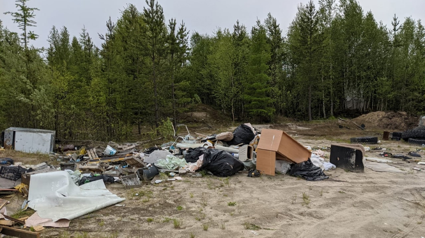 В Пуровском районе неизвестные превратили в свалку лесную поляну. ФОТО