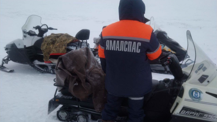 Ямальские спасатели помогли тундровику со сломавшимся снегоходом. ВИДЕО