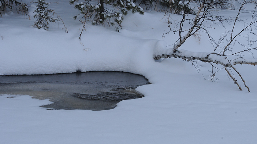 В Ямальском районе женщина погибла, провалившись на снегоходе под лёд