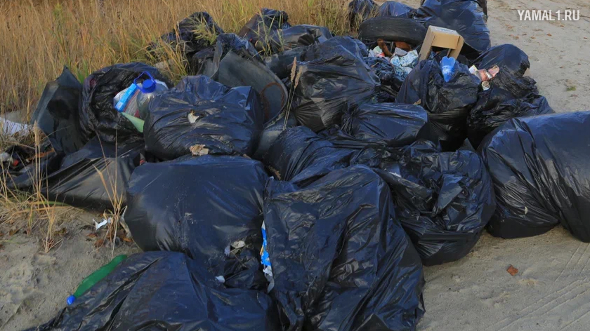 На Ямале привлекли к ответственности компанию по сбору мусора за нелегальную свалку. ВИДЕО
