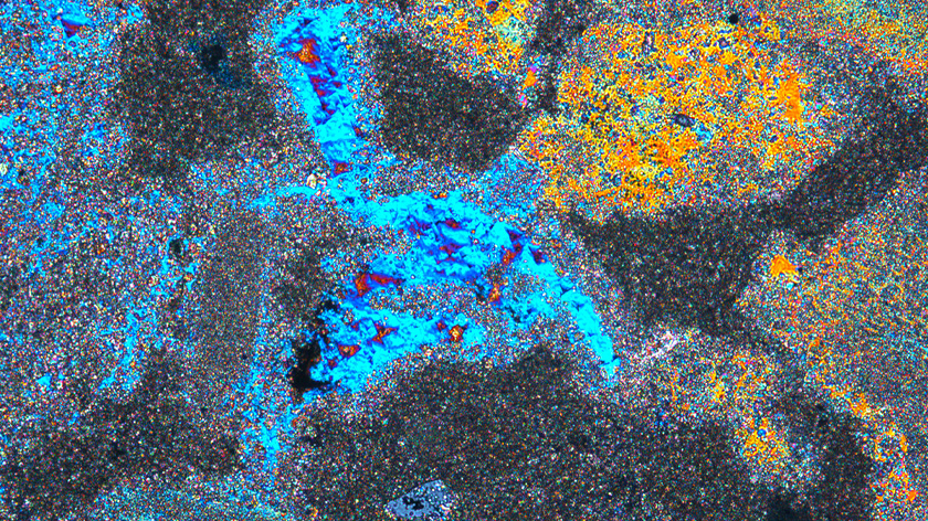 «Газпром нефть» и N+1 показали красоту подземного мира под микроскопом. ФОТО
