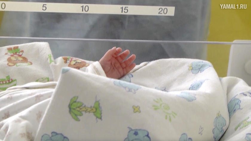 Власти Ямала объявили о повышении размера выплат при рождении ребенка. ВИДЕО