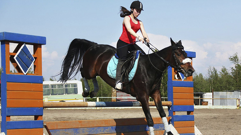 Югорские конники взяли россыпь медалей на всероссийских соревнованиях 