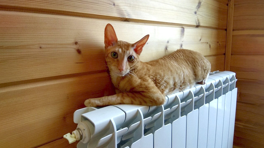 В Ишимском округе утвердили дату начала отопительного сезона