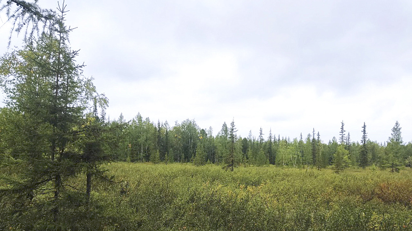 В Свердловская область вводят особый противопожарный режим