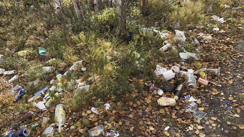 Лесная зона у салехардского детского сада «Мамонтенок» превратилась в стихийную свалку