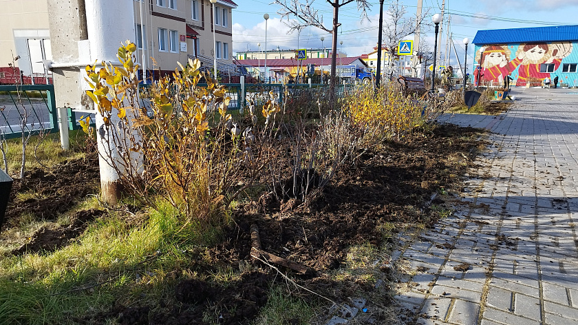 В селе Новый Порт состоялась экологическая акция по озеленению территории