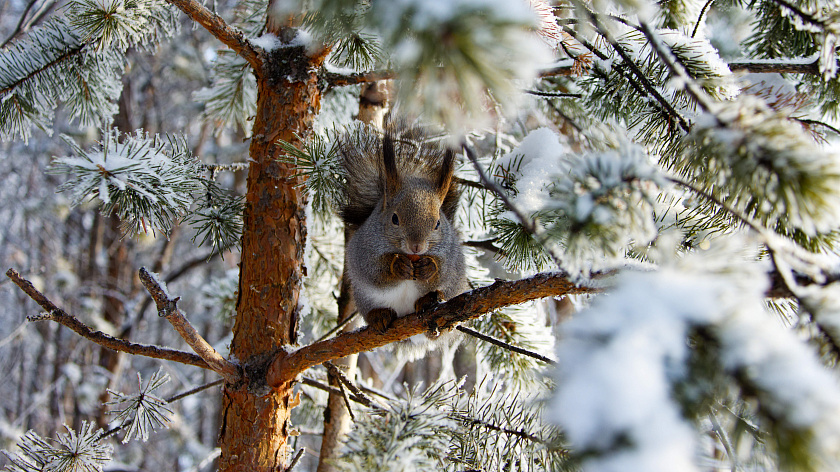 В четверг на Ямале ожидается самый холодный день недели: прогноз на 16 апреля