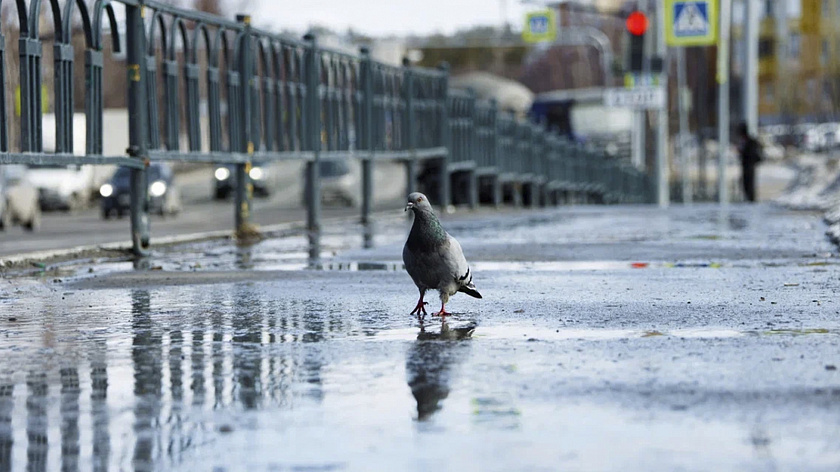 В Тарко-Сале из-за непогоды отменили общегородской субботник