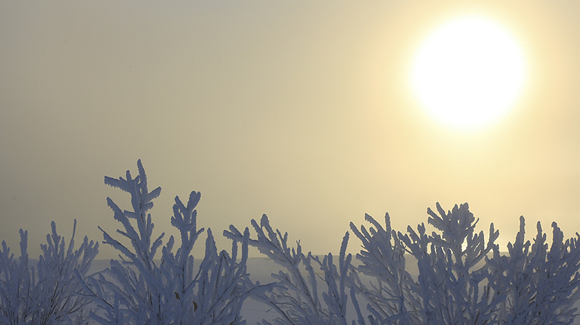 Учёные зафиксировали 17 вспышек на Солнце