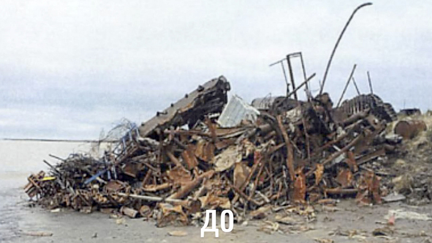 Фото: Tелеграм | Департамент природных ресурсов ЯНАО