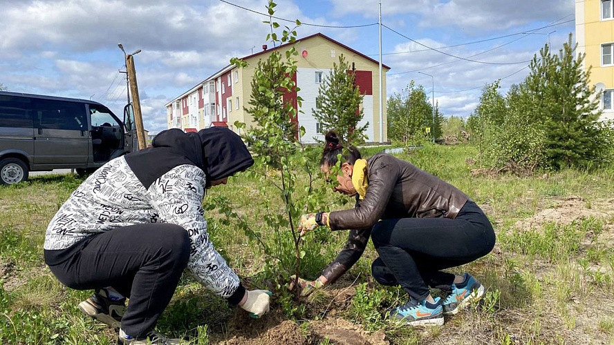 Фото: Telegram | Дмитрий Жаромских