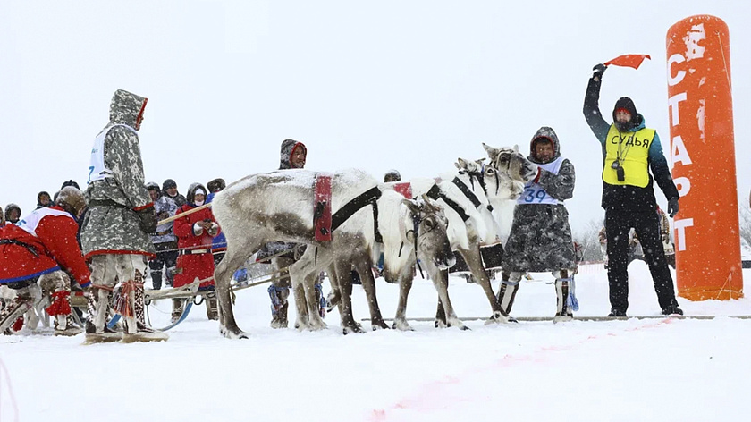 В Салехарде более 100 судей будут оценивать спортивные состязания на День оленевода