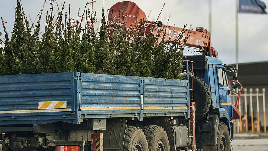 Фото: t.me/bandurko_av