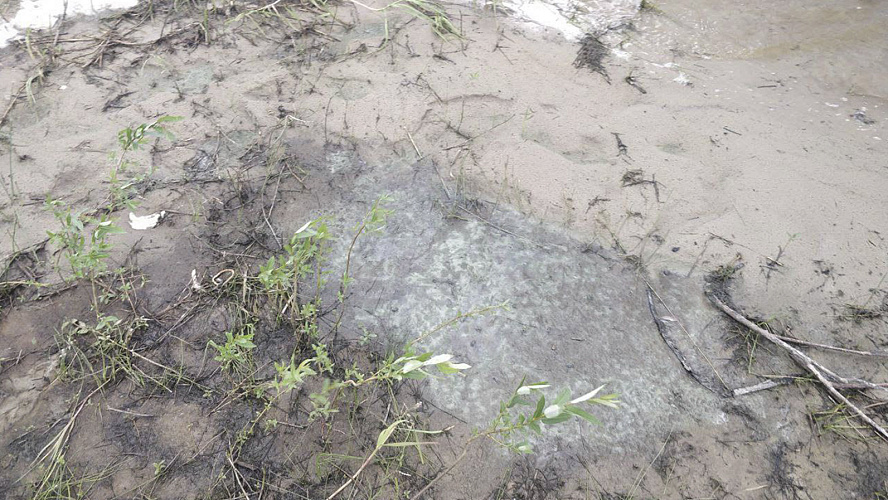 Фото: Tелеграм | Ноябрьск. Официально