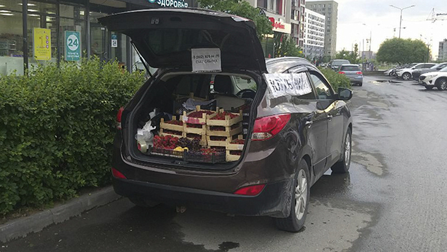 Фото: Tелеграм | Тюмень. Администрация города