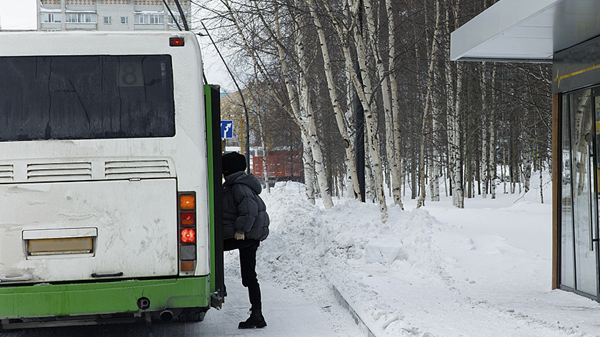 Бастрыкин поручил разобраться в нападении водителя автобуса на подростка в Петербурге
