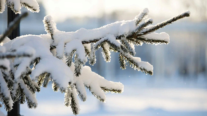 В Свердловскую область вернутся обильные снегопады