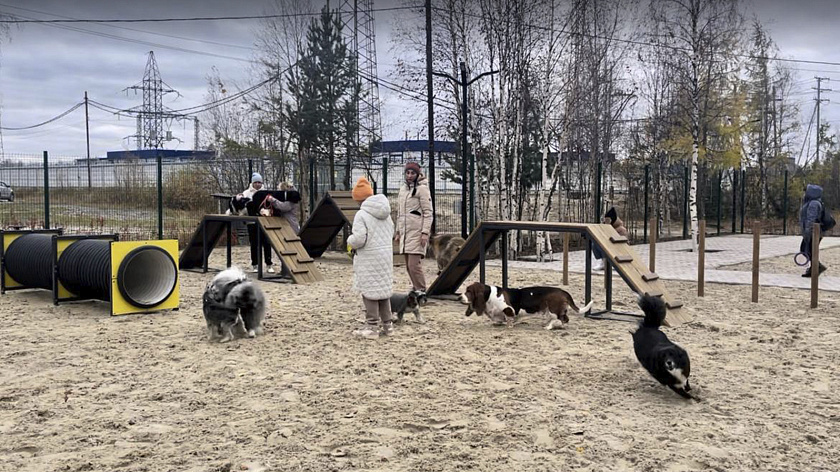 В Тарко-Сале 4 октября откроется новая площадка для выгула животных