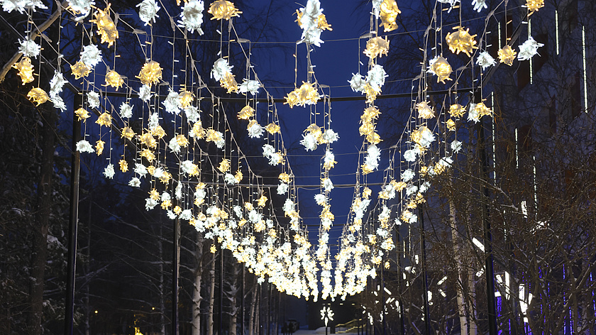 Ноябряне предложили властям уделять внимание украшению городских окраин в Новый год