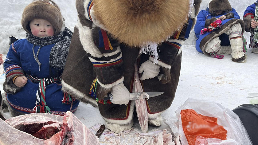 В Салехарде на День оленевода наградят авторов самой вкусной строганины