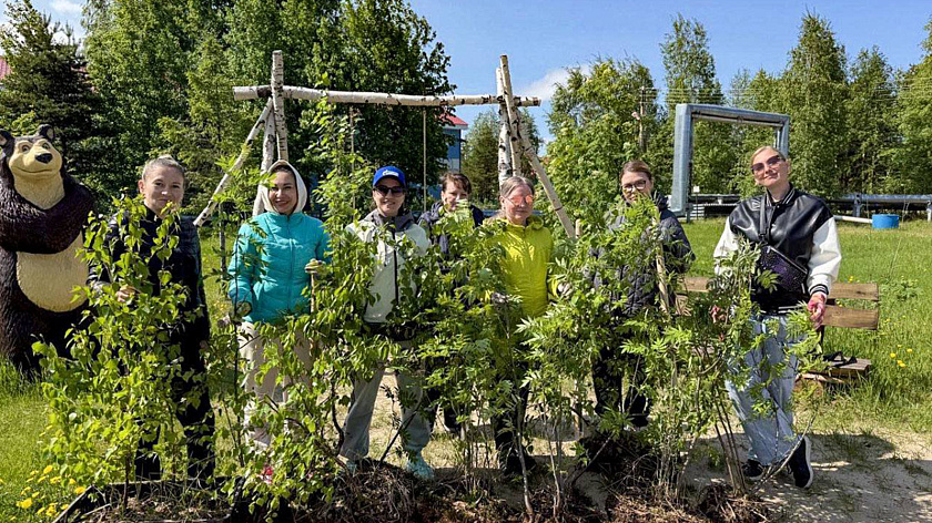 Сад памяти: более 1300 деревьев высадили в Надымском районе