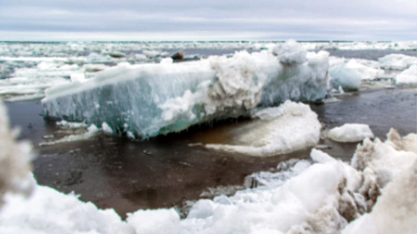 Голова ледохода добралась до Обской губы