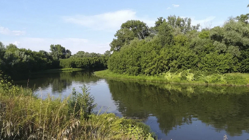 Уровень воды в реке Пякупур за сутки снизился на два сантиметра