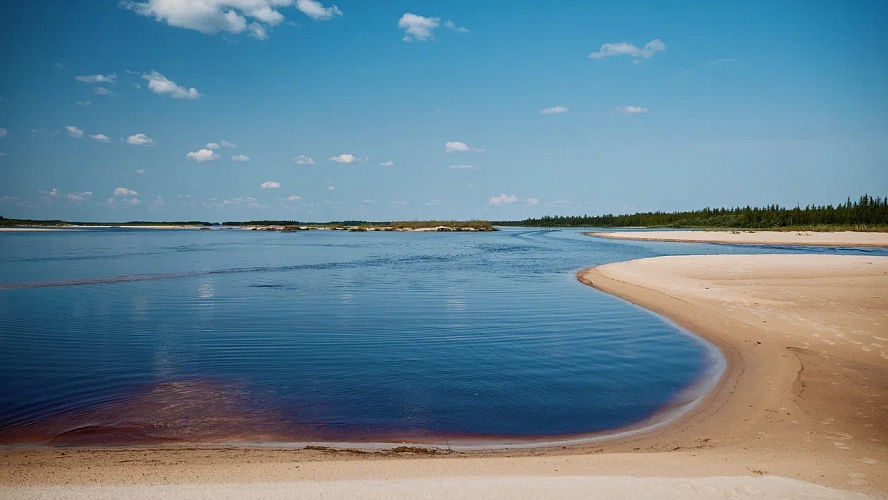 Фото: Леонид Корнильев