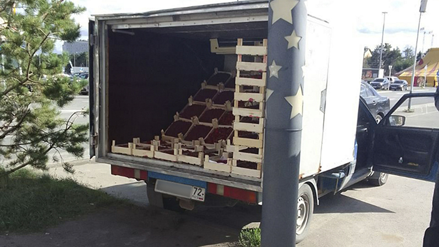 Фото: Tелеграм | Тюмень. Администрация города