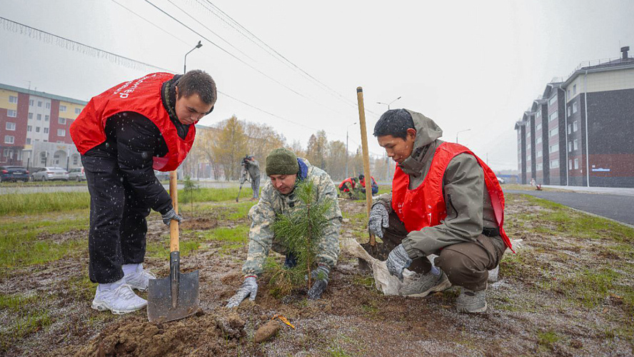 Фото: Tелеграм | Лабытнанги + Харп