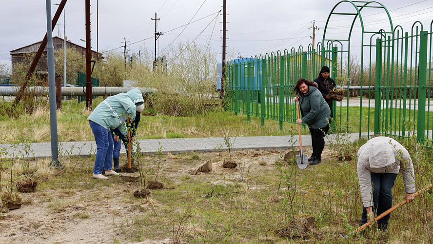 Фото: Telegram | Дмитрий Жаромских