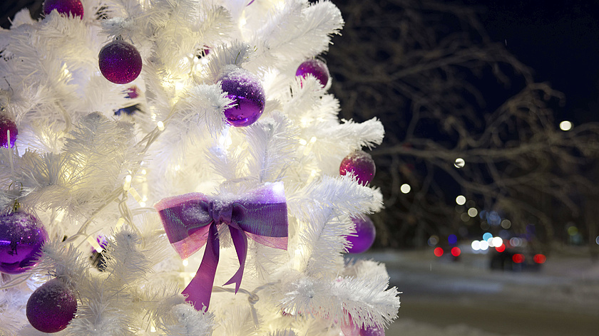 Тюменцев пригласили на открытие главной ёлки 27 декабря