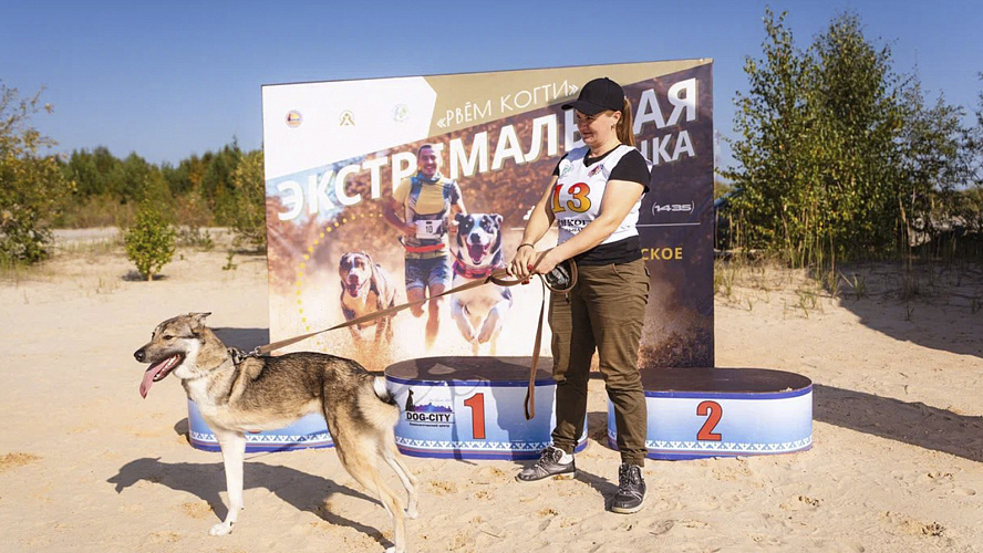 Фото: Telegram | Ноябрьск. Официально