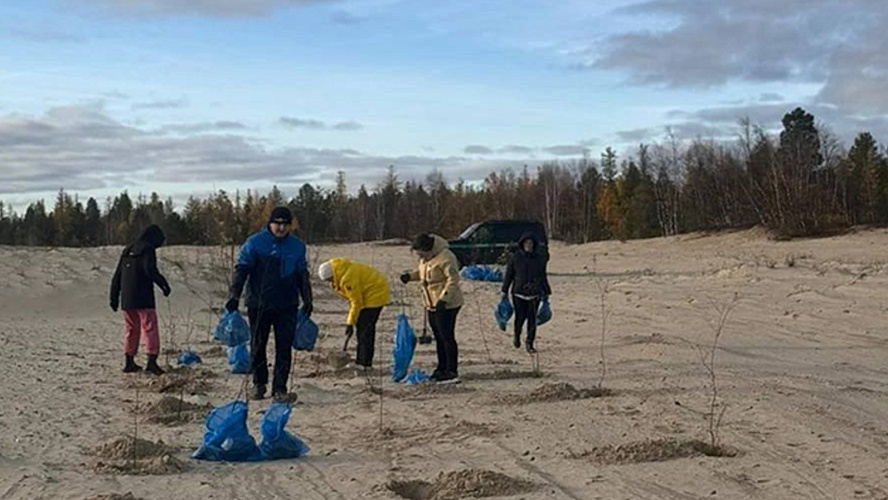 Фото: Телеграм | Дороги и транспорт Ямала