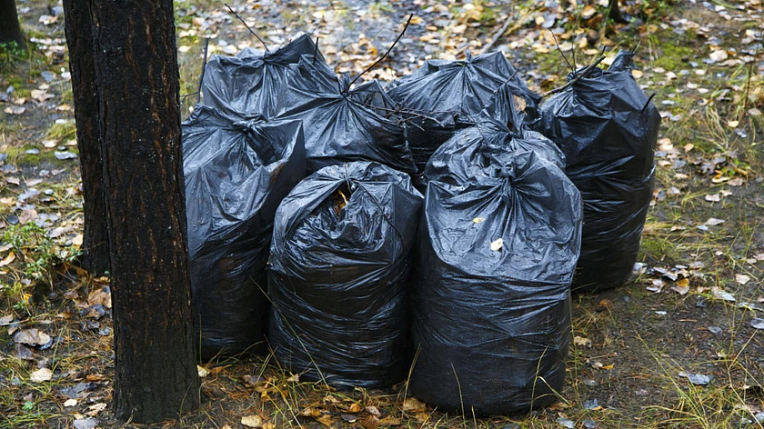 В Тазовском районе ликвидировали несанкционированную свалку