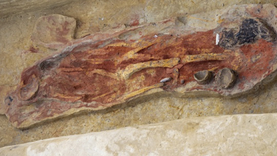 Фото: АНО "Институт археологии Севера"